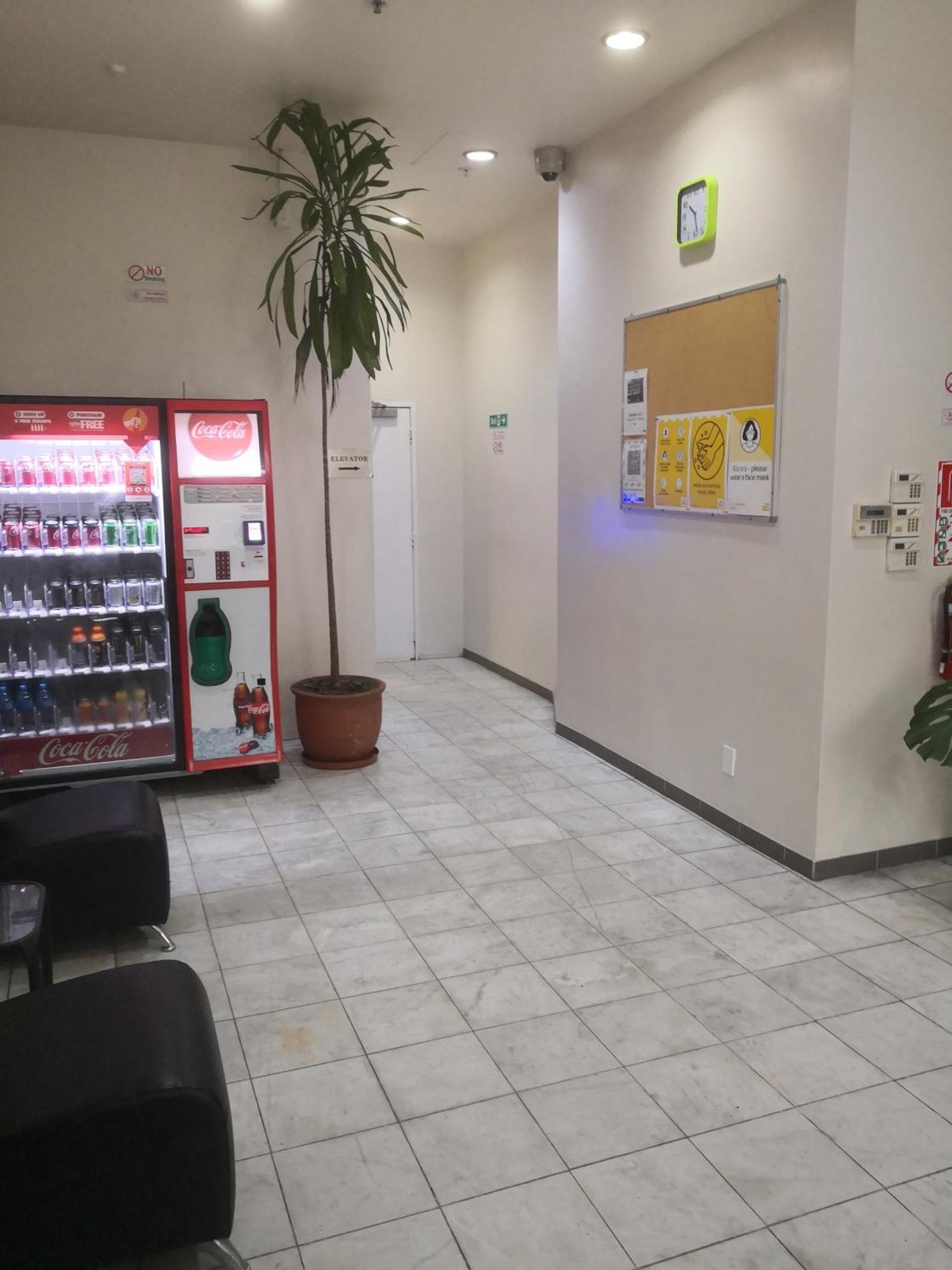 Oceanic Hostel オークランド エクステリア 写真